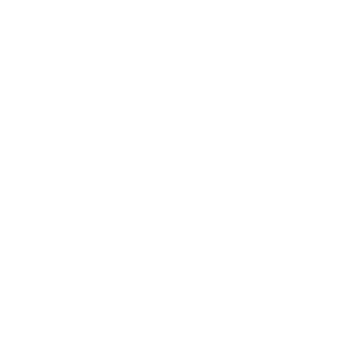 Impact Icon